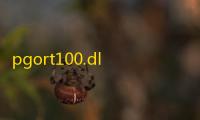 pgort100.dll丢失解决方法